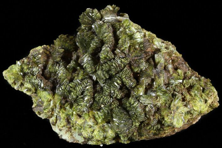Lustrous, Epidote Crystal Cluster - Morocco #49415
